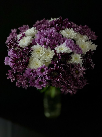 Хризантема кустовая микс 25 шт