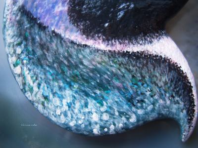 "Ледяной Пингвин Полярных Шаманов", волшебная брошь с изумрудом