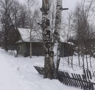 ОКУЛОВСКИЙ РАЙОН, КУЛОТИНСКОЕ Г/П, КУЛОТИНО ПГТ, 20 ЛЕТ ОКТЯБРЯ. ПРОДАЖА ЗЕМЕЛЬНОГО УЧАСТКА 25 СОТОК ЛПХ С ДОМОМ. СТОИМОСТЬ 270.000 РУБЛЕЙ