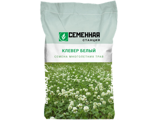 Купить Семена клевера белого ползучего ☘️ 10 кг в интернет-магазине ...
