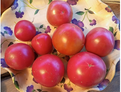 Томат Зинуля