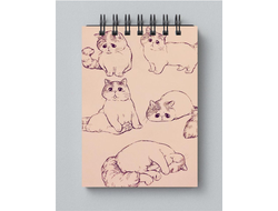 Блокнот Котики №8