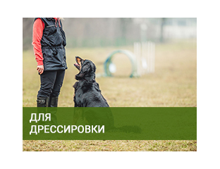 Электрические Ошейники для дрессировки собак (Trainertec) Купить