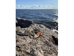 Масло НОТА: УСТА САХАРНЫЕ, 3.5 мл