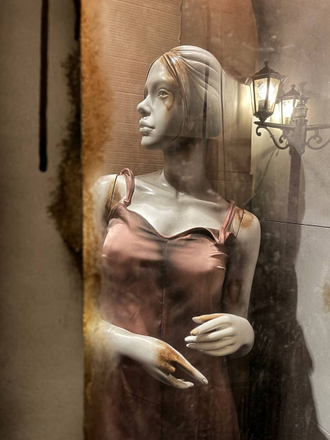 Store window