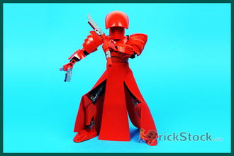 # 75529 Сборная Фигура «Элитный Преторианский Страж» / “Elite Praetorian Guard” Buildable Action Figure (2017)
