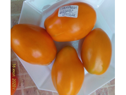 Томат Стаканы оранжевые минусинские