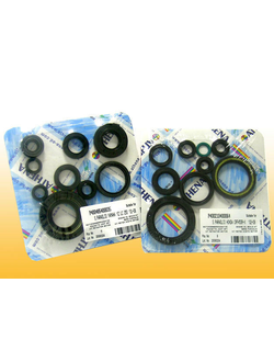 Комплект сальников Athena P400089400001 для BRP Can-Am OUTLANDER 800/1000 (2012-2017)