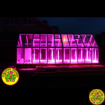 Базовая комплектация теплицы из стекла и алюминия ЧЕСТЕРФИЛД размером 8000 х 3000 мм