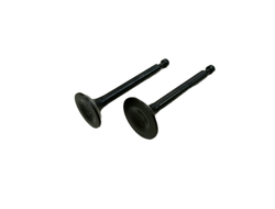 Впускной и выпускной клапаны BAIKAL F4