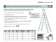 Z600 Стремянки с завальцованными ступенями с пластиковыми вставками, анодированные