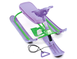 Продажа снегокатов Team Sport (Purple/Green) в Иркутске по низким ценам
