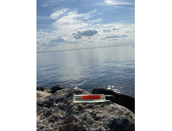 Масло НОТА: ЧИСТОТА И НЕВИННОСТЬ, 11 мл