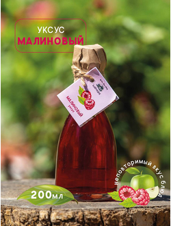 Уксус фруктовый Благоедов, 100% натуральный без добавления сахара и воды, 250 мл