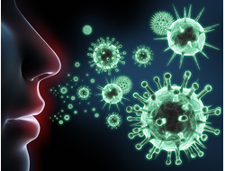 Иммунитет. Антивирусная защита