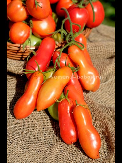 Томат Стрелка, 10 шт