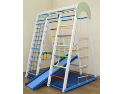 ДСК раннего развития PLASTEP СУПЕР ЧЕМПИОН 170 купить в Воронеже