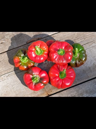 Перец сладкий Александр, 10 шт