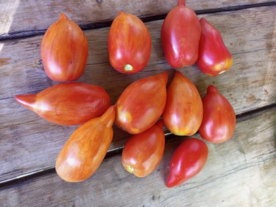 Томат Сливка полосатая