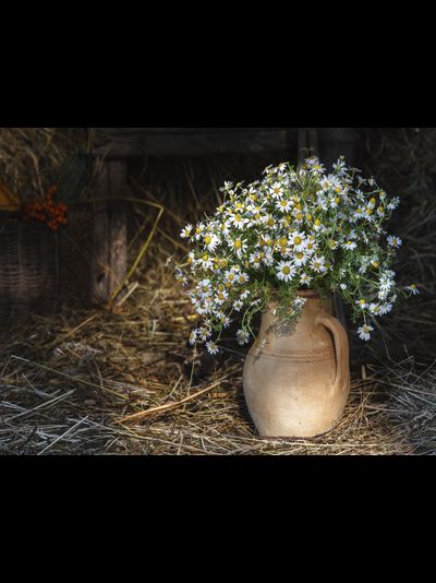 Обогреватель-картина "Кувшин с ромашками"