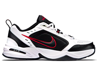 Nike Air Monarch