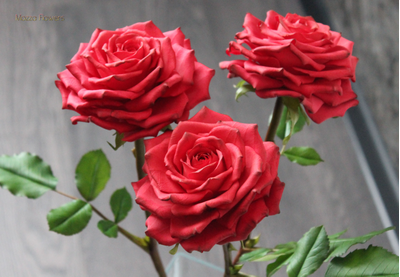 Красные розы "RED" из полимерной глины.