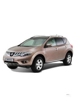 Коврики в салоне Nissan Murano 2 (Z51) (цельный коврик второго ряда)