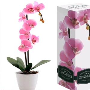 Светильник СТАРТ LED "Орхидея в горшке" декоративный (2xAA нет в компл.) ткань, розовый 14x14x60