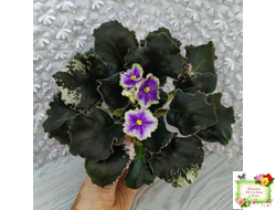 КО-Путеводная Нить (О. Кособокова) 2022 г.