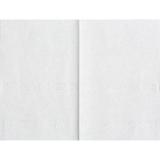 Салфетки бумажные 2 слоя, 20х15, 200шт/уп СД10