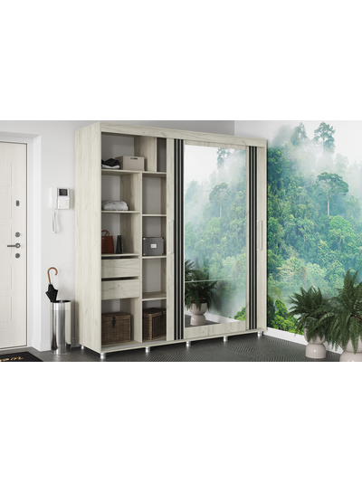 Форест 2.0 м шкаф-купе  Дуб крафт белый