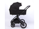 Коляска 3в1 Peppy Monaco 2025 Brilliant Black, рама черная глянец (Rise)