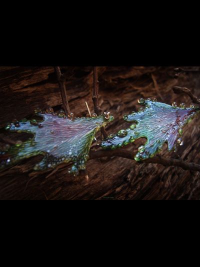 Волшебные серьги в стиле фэнтезийного бохо &quot;Крылышки феи Луголесья&quot;