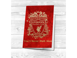 Обложка на паспорт Ливерпуль, Liverpool FC №1