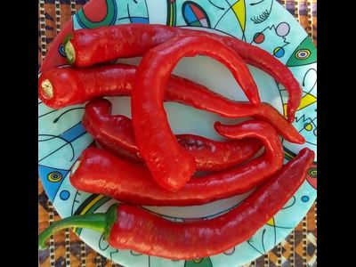 Перец сладкий Чудо паприка