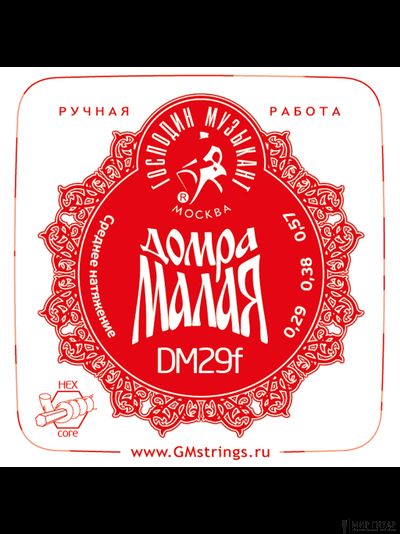 Господин Музыкант DM29F Profi