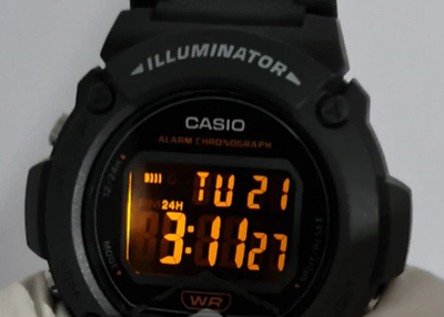 Часы Casio W-219H-8B