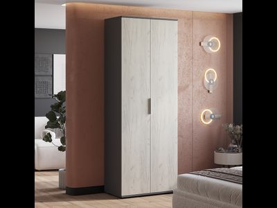 Шкаф 2-х створчатый Плаза ШК-04 (Мебелони)