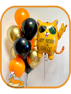 Рыжий кот и 9 Шариков на грузиках