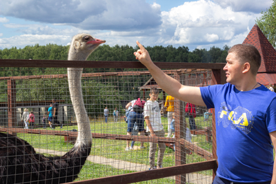 Экскурсия "Прогулка в парке птиц"