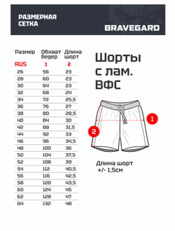 Куртка облегченная для самбо ВФС BRAVEGARD Победа Junior синяя + шорты ВФС