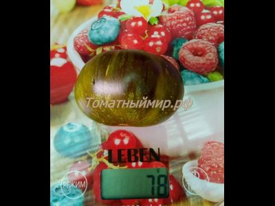 Томат Зеленая богиня Ксанаду (Xanadu Green Goddess), США