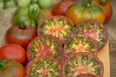 Томат Dwarf Red Viper (Гном красная Гадюка), 10 шт