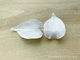 Молд «Лепесток эустомы #2» (ELF_decor)