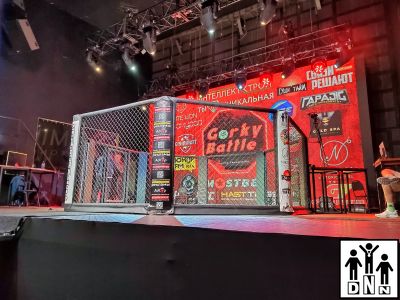 Ринг (клетка) для ММА напольная (диаметр 5 м без помоста) DNN