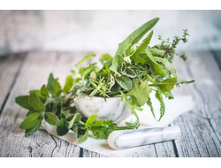 Антипаразитарная