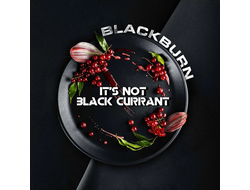 BLACK BURN 25 г. - IT'S NOT BLACK CURRANT (КРАСНАЯ СМОРОДИНА)