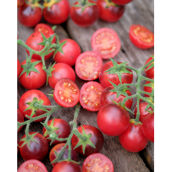 Томат Маленький Красный Корвет (Little Red Corvete), 10 шт