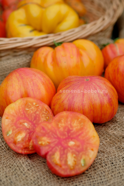 Томат Огненный Поцелуй Биколор с носиком, 10 шт