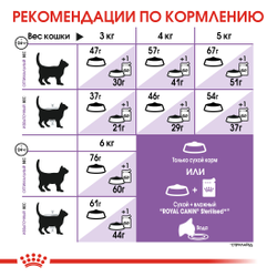 Royal Canin (Роял Канин) Sterilised 37 Regular Сухой корм для стерилизованных кошек и кастрированных котов с 1 до 7 лет, 10 кг